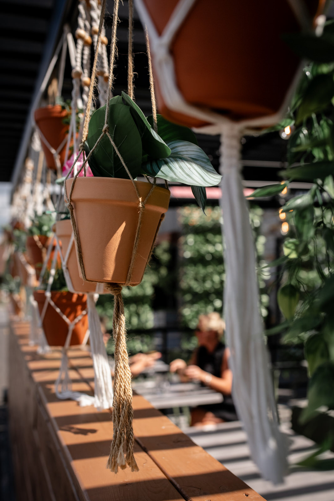 Photo de pots de plante suspendus sur une terrasse