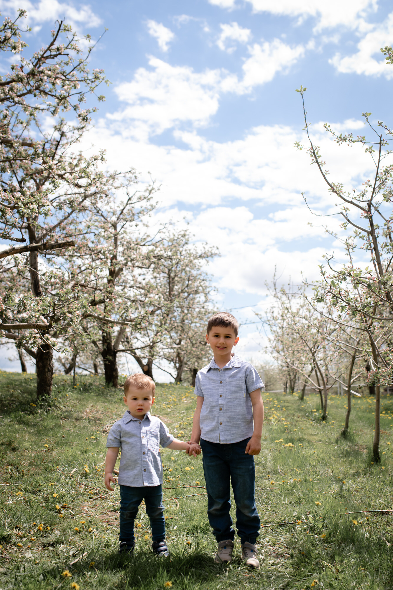 Photo de deux jeunes garçons entre deux rangées de pommier en fleurs