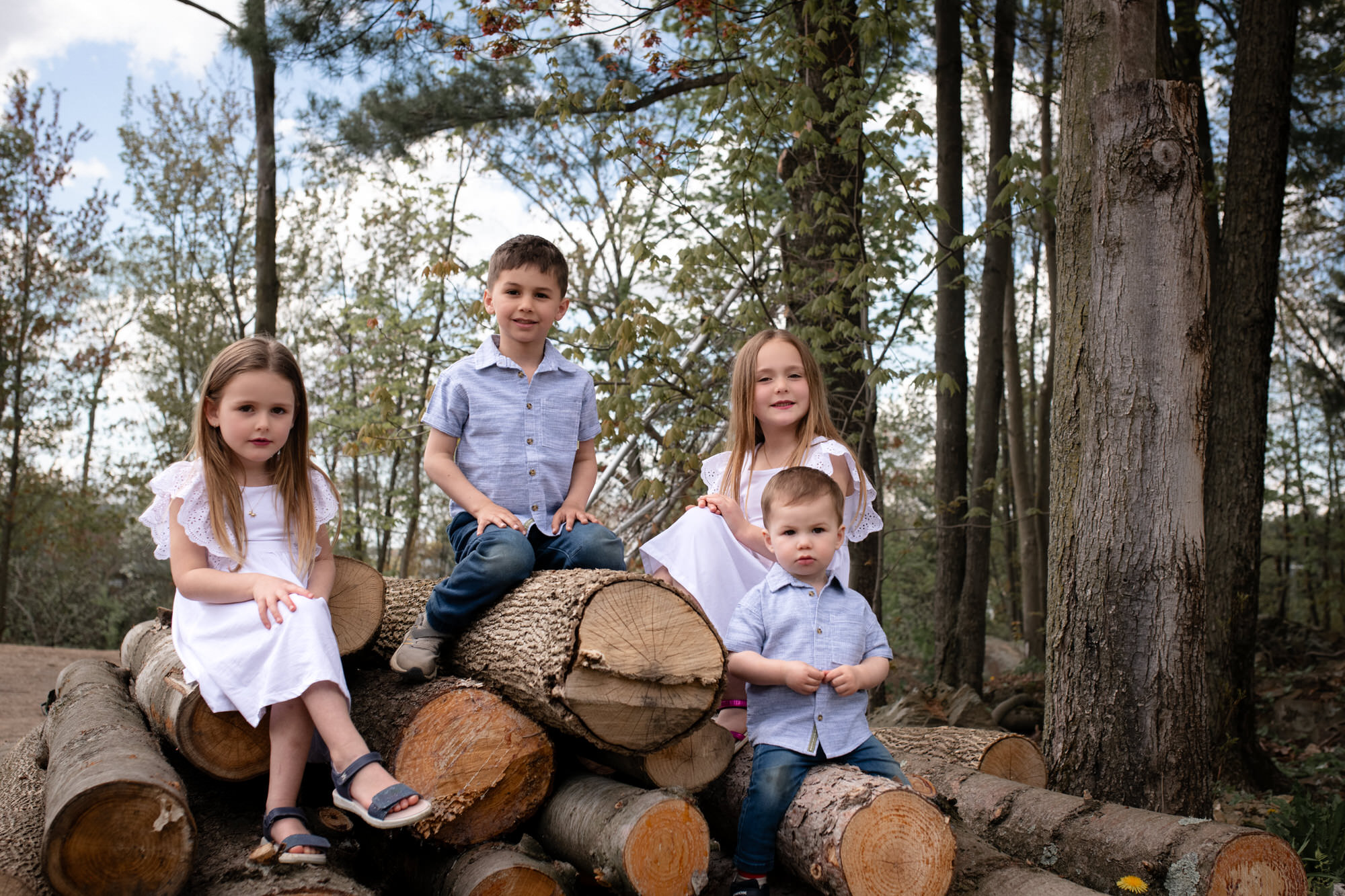 Photo de quatre jeunes enfants sur des billots d'arbre