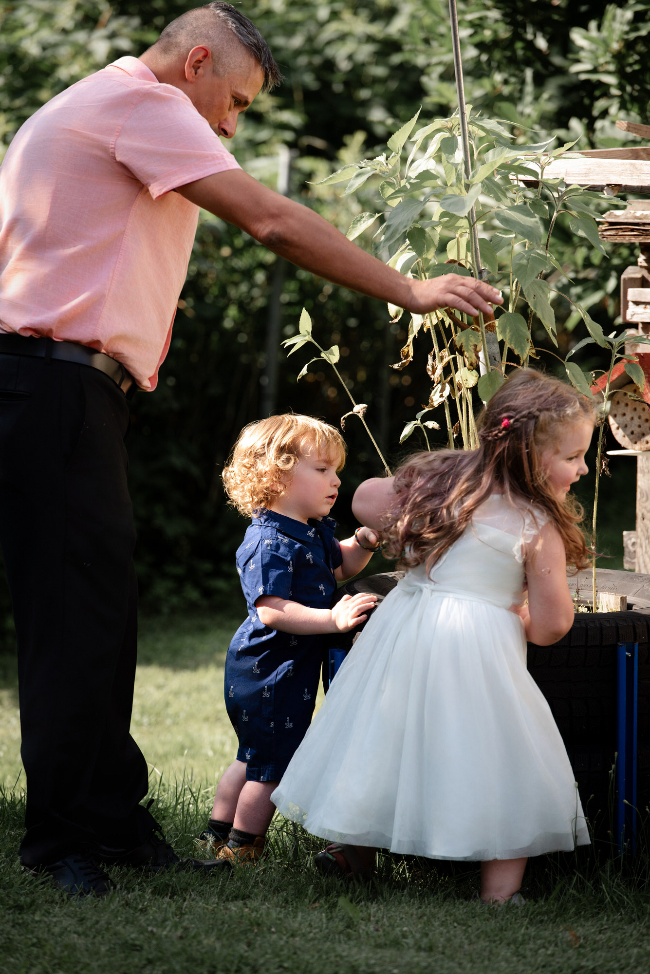 Photo de deux jeunes enfants à côté d'un plant de tomates avec papa.